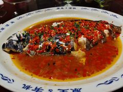 -森谷美食公园(杨行店)