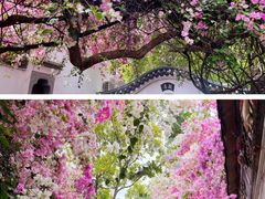 -深圳国际园林花卉博览园