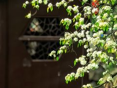 -包公祠