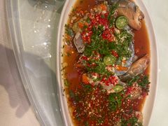 -郑州绿地JW万豪酒店-中餐厅