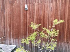 -梵几(东信·和创园店)