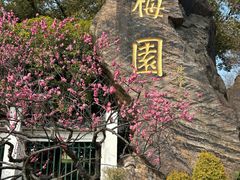 -无锡梅园公园