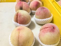 -老袁家蜜桃农场·阳山水蜜桃