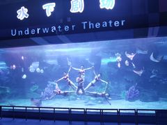-泉城欧乐堡海洋极地世界