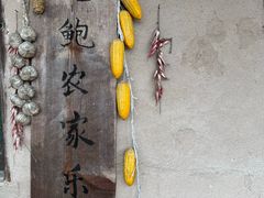-老鲍农家乐