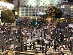 -涩谷全向十字路口