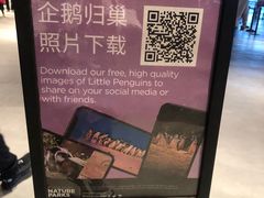 -企鹅岛