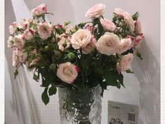 -开间茶馆·围炉煮茶