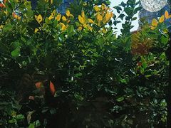 -味钱塘·钱塘渔鲜·地道江浙菜(宋城店)