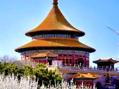 -普乐寺