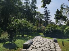 -云溪植物园