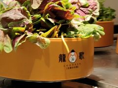-龍歌自助小火锅(兰山上海路万达店)