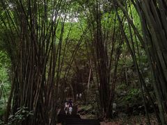 -凤栖山