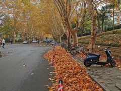 -浙江大学(玉泉校区)