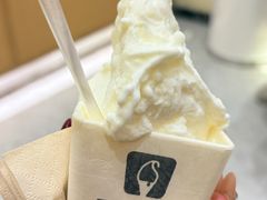 -野人先生现做冰淇淋(深圳壹方城店)