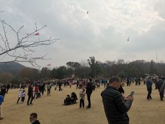 -南山风景名胜区