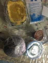 -志龙皇冠吃货椰子铺
