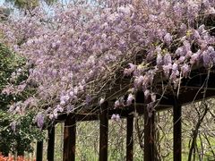 -敬亭山风景名胜区