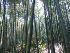 -南山风景名胜区