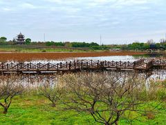 -上海海湾国家森林公园