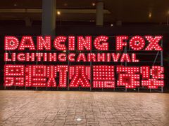 -锦江乐园舞狸花花游园会(夜场专享)