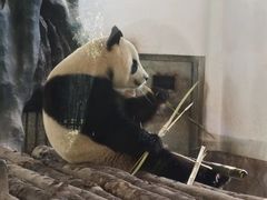 -宁波野生动物园
