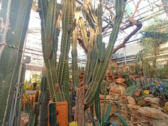 -国家植物园南园