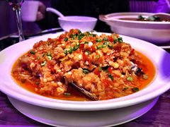 -蝴蝶汇音乐酒馆(罗湖店)