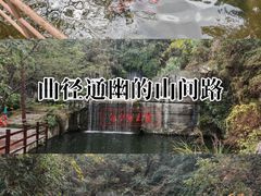 -千岛湖东南湖区