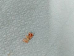 -同步齿科·数字化正畸种植口腔中心(前山店)