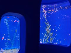 -欢乐海岸海洋奇梦馆