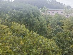 -广州神农草堂中医药博物馆