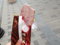 小豆冰棍-康乐