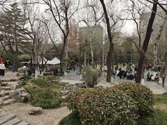 -莲湖公园