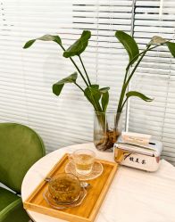 -FUMEIHUI·科技美肤·美体SPA