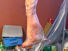 -前门杨记·铜锅涮肉(王府井·故宫店)