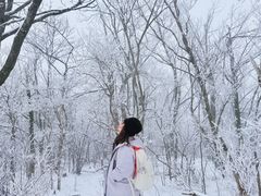 -安吉龙王山风景区