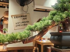 -先启半步颠.川菜.小酒馆(宝安坪洲店)