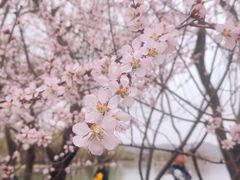 -颐和园