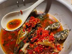 -田小狗的饭店(才子佳郡店)