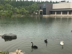 -上海怡沁园度假酒店