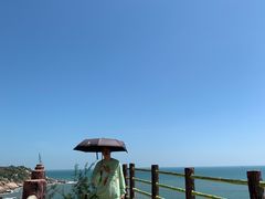 -广东惠东海龟国家级自然保护区