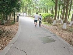 -苏州太湖国家湿地公园