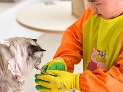 -怪兽屋·羊驼·猫咖·狗咖(俊华广场店)