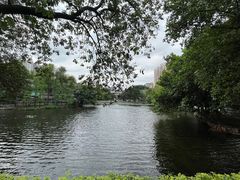 -荔湾湖公园