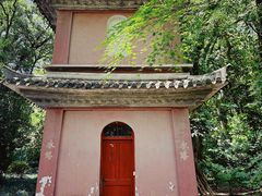 -阿育王寺