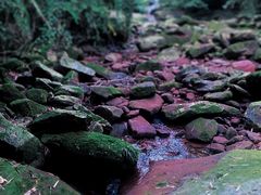 -碧峰峡风景区