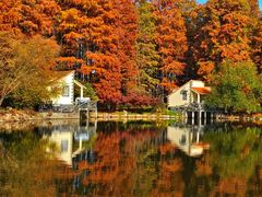 -上海共青森林公园