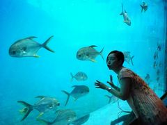 -瑞德姆美人鱼海底演艺主题餐厅(亚龙湾店)