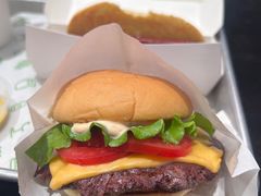 -Shake Shack(南山万象天地店)